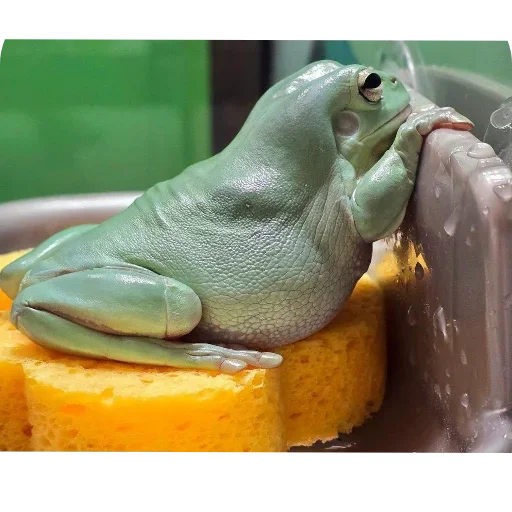 Стикер 🍲 из набора 's jaba criminals
