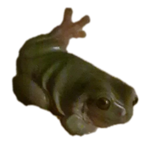 Стикер 🐦 из набора 's jaba criminals