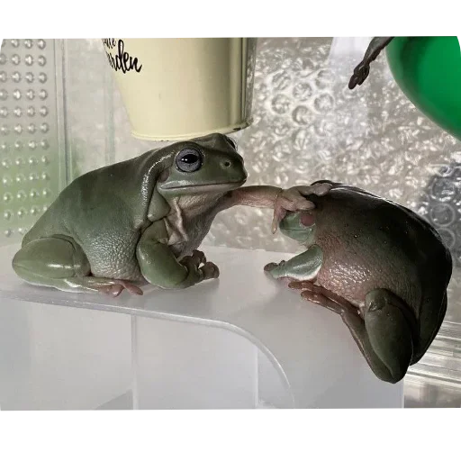 Стикер 👍 из набора 's jaba criminals