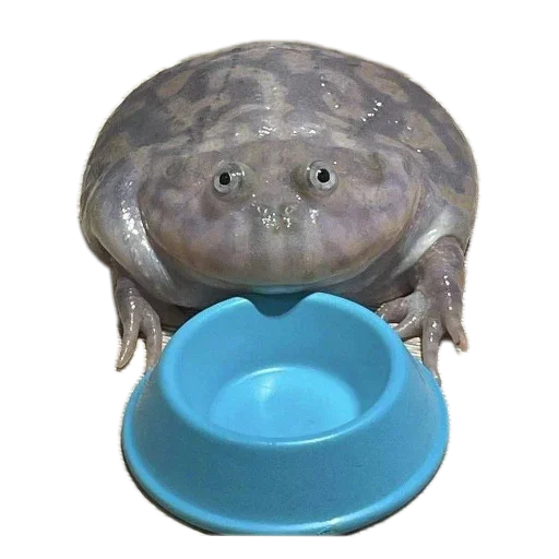 Стикер 🍽 из набора 's jaba criminals