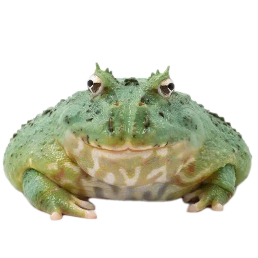 Стикер 🍲 из набора 's jaba criminals