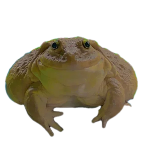 Стикер 🗿 из набора 's jaba criminals