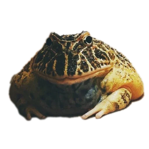 Стикер 👟 из набора 's jaba criminals