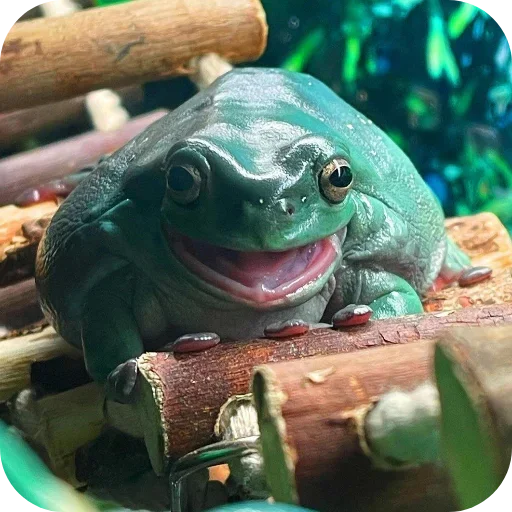 Стикер 🧸 из набора 's jaba criminals