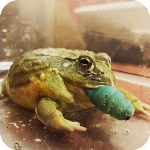 Стикер 👍 из набора 's jaba criminals