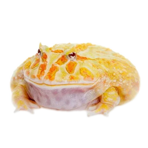 Стикер 🍲 из набора 's jaba criminals