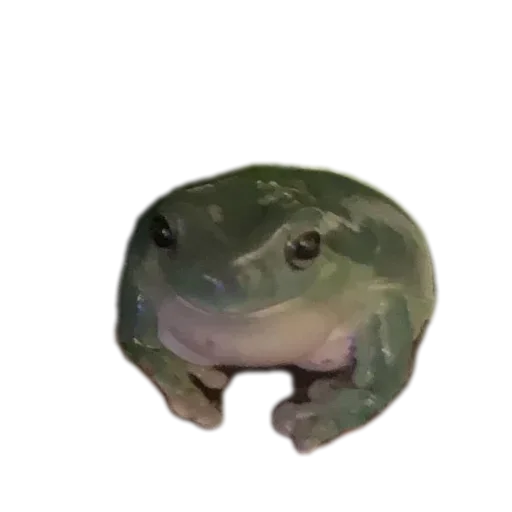 Стикер 🐦 из набора 's jaba criminals