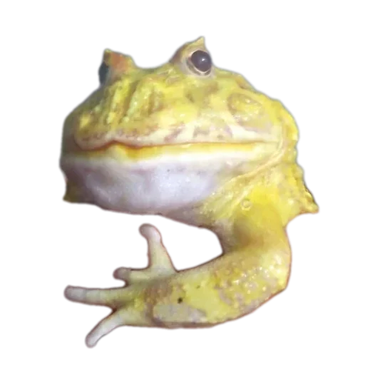 Стикер 👄 из набора 's jaba criminals