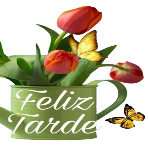 Стикер ❤️ из набора Buen Dia