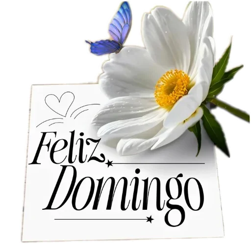 Стикер 🌸 из набора Buen Dia
