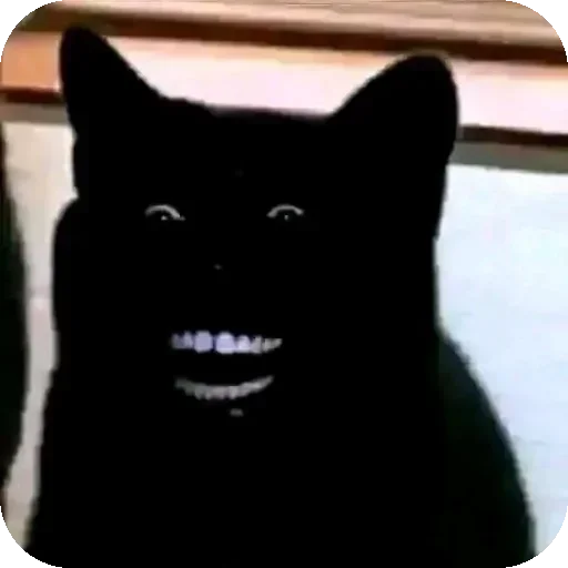Стикер 🐱 из набора Morning
