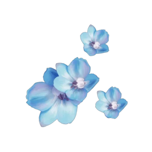 Стикер 💙 из набора Madre Tierra