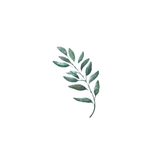 Стикер 🌿 из набора Madre Tierra