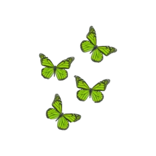 Стикер 💚 из набора Madre Tierra