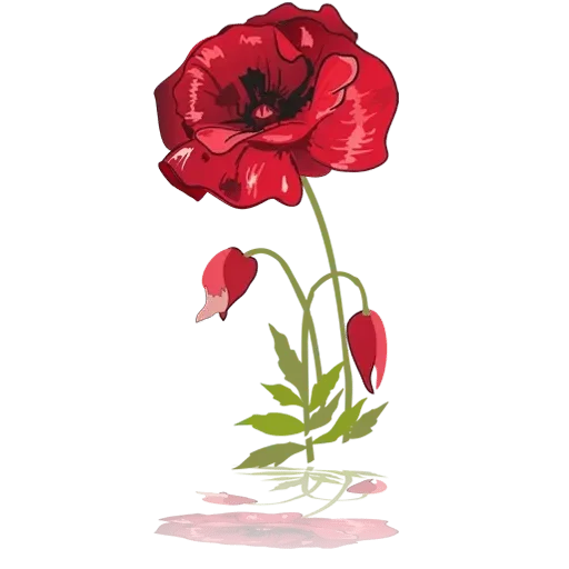 Стикер 🌺 из набора Madre Tierra