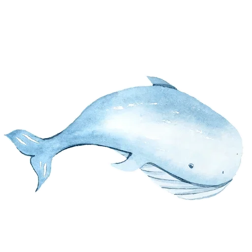 Стикер 🐳 из набора Madre Tierra
