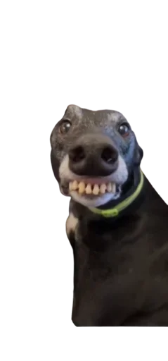 Стикер 😬 из набора StickersMeme Bunch