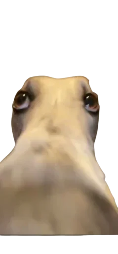 Стикер 👃 из набора StickersMeme Bunch