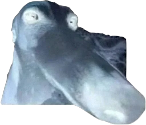 Стикер 🤥 из набора StickersMeme Bunch