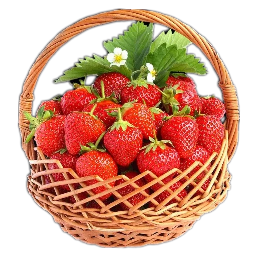 Стикер 🍓 из набора 🍓 🍓 قناة الملصقات