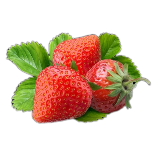 Стикер 🍲 из набора 🍓 🍓 قناة الملصقات
