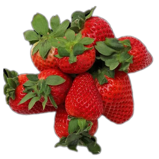 Стикер 🌸 из набора 🍓 🍓 قناة الملصقات