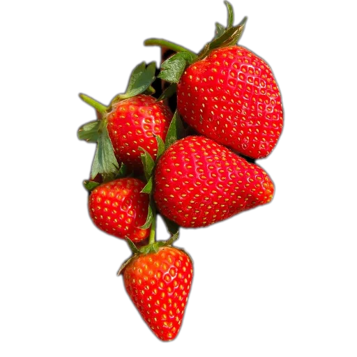 Стикер 🍲 из набора 🍓 🍓 قناة الملصقات