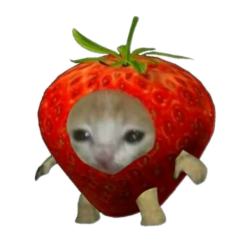 Стикер 🧸 из набора 🍓 🍓 قناة الملصقات