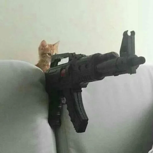 Стикер 🔫 из набора Stupid Cattos by