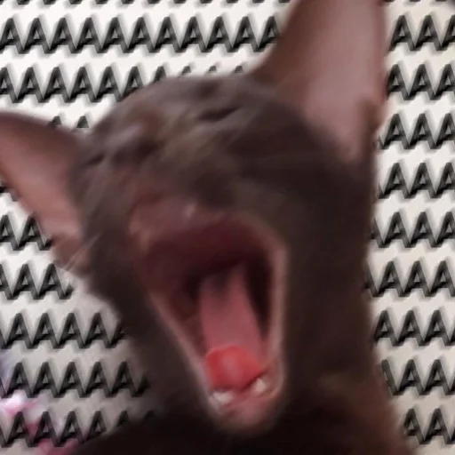 Стикер 😭 из набора Stupid Cattos by