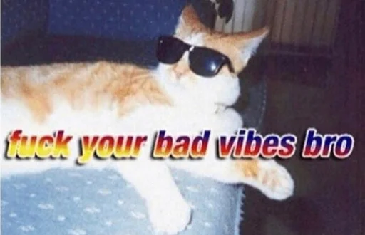 Стикер 😎 из набора Stupid Cattos by