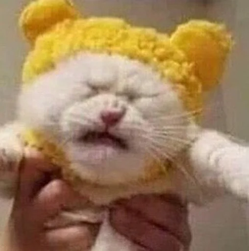 Стикер 😖 из набора Stupid Cattos by
