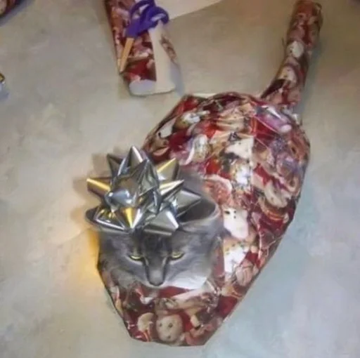 Стикер 🎁 из набора Stupid Cattos by