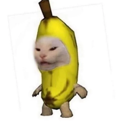 Стикер 🍌 из набора Stupid Cattos by