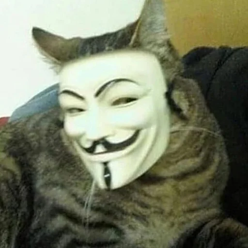 Стикер 😏 из набора Stupid Cattos by