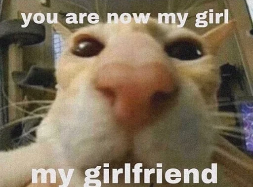 Стикер ❤️ из набора Stupid Cattos by