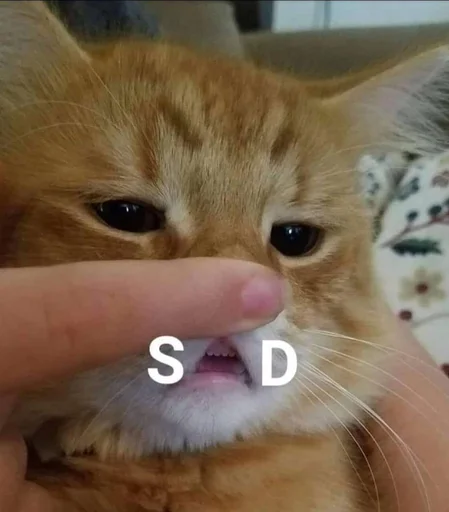 Стикер 😢 из набора Stupid Cattos by