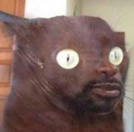 Стикер 😳 из набора Stupid Cattos by