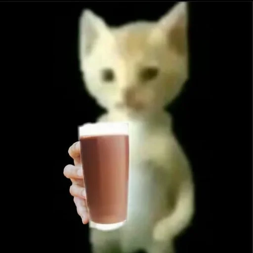 Стикер ☕️ из набора Stupid Cattos by