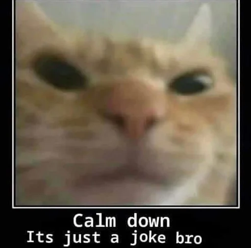 Стикер 😂 из набора Stupid Cattos by