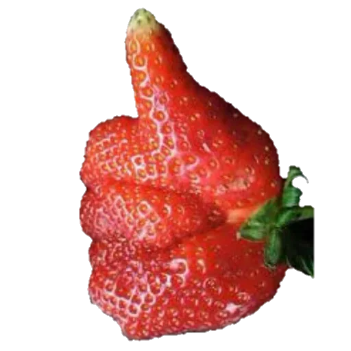 Стикер 👍 из набора Lazy veggies