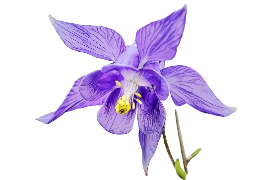 Стикер 💙 из набора The Violet Flower