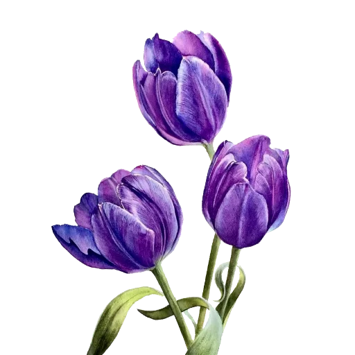 Стикер 💝 из набора The Violet Flower