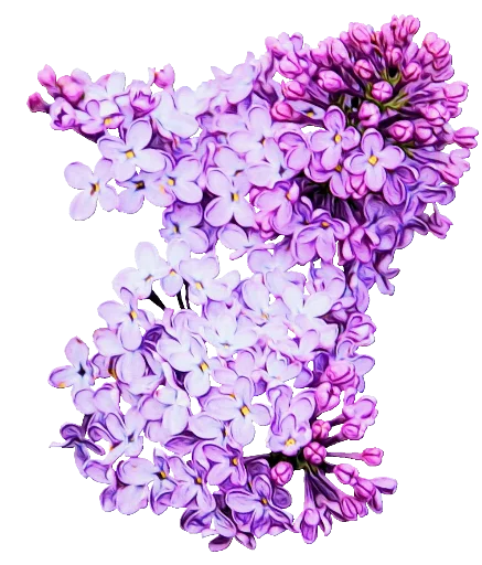 Стикер 💕 из набора The Violet Flower