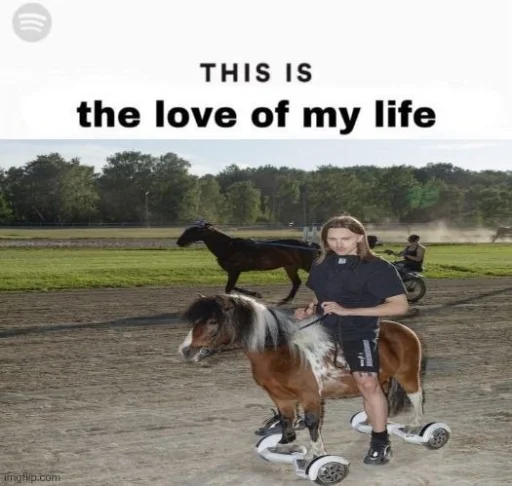 Tommy Cash