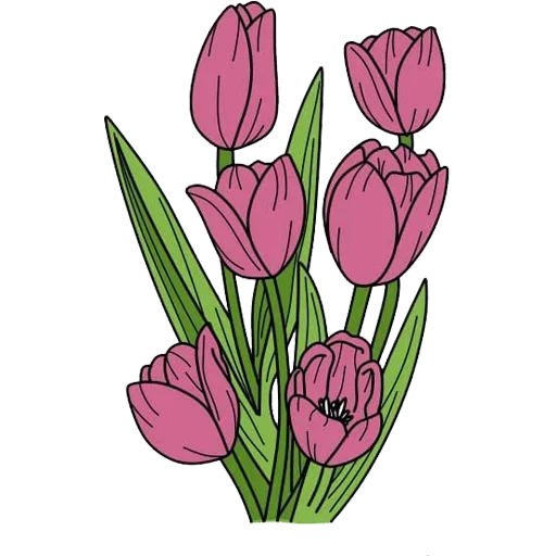 Tulips Club