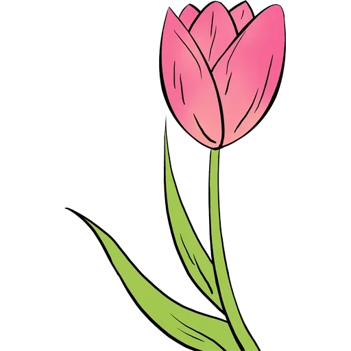 Tulips Club