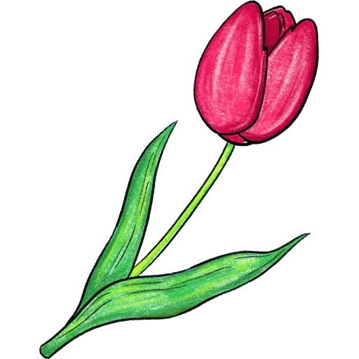 Стикер 🌷 из набора Tulips Club