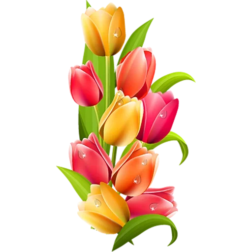 Стикер 🌷 из набора Tulips Club