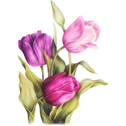Стикер 🌷 из набора Tulips Club